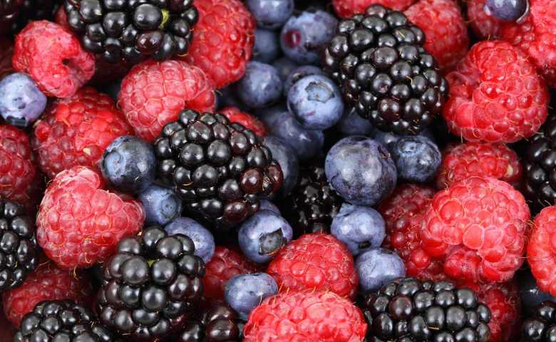 Buah Berry Ternyata Kaya Akan Serat, Vitamin Dan Juga Mineral